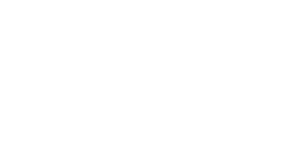 sterndruck