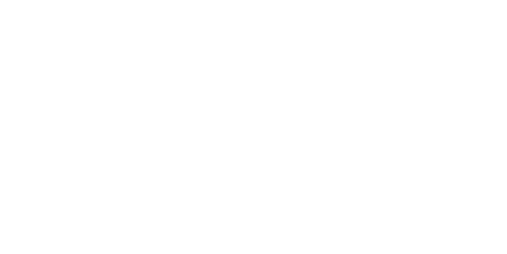 Caravan Technik Mahl