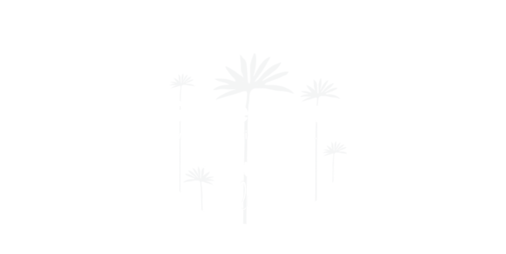 Stegelmann – Blumen erleben